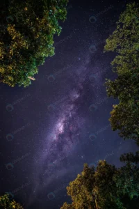 landscape with milky way galaxy crcfa14226b size10.00mb 3004x4500 - title:Home - اورچین فایل - format: - sku: - keywords: p_id:18