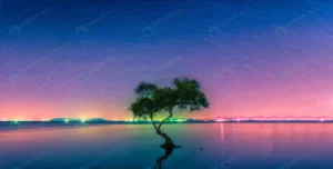 landscape with star trail silhouette mangrove tre crc1553234a size5.38mb 7800x3941 - title:Home - اورچین فایل - format: - sku: - keywords: p_id:18