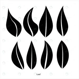 leaf flower theme vector rnd581 frp28394497 - title:Home - اورچین فایل - format: - sku: - keywords: p_id:18