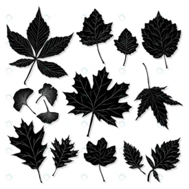 leaves silhouette white background vector crcf2014867 size3.31mb - title:Home Main - اورچین فایل - format: - sku: - keywords: p_id:18