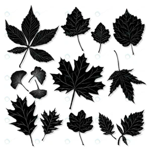 leaves silhouette white background vector crcf2014867 size3.31mb - title:Home - اورچین فایل - format: - sku: - keywords: p_id:18