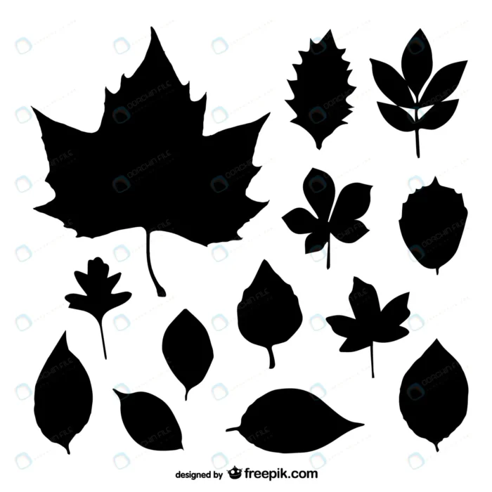 leaves silhouettes collection crcc57a10c9 size0.62mb - title:وکتور برگ درختان به صورت سیلوئت - اورچین فایل - format:EPS - وکتور - sku:crcc57a10c9 - keywords:وکتور برگ درختان به صورت سیلوئت, وکتور, برگ, دانلود رایگان, سیلوئت, فایل تکی, وکتور رایگان p_id:62865