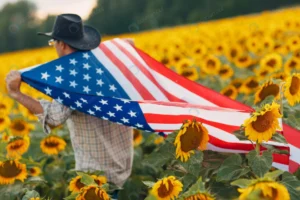 man is walking into sunflower field with american rnd899 frp16457545 - title:Home - اورچین فایل - format: - sku: - keywords: p_id:18