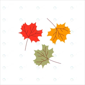 maple leaves element autumn design rnd672 frp29265868 - title:Home - اورچین فایل - format: - sku: - keywords: p_id:18