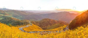 mexican sunflower field panorama crc362086c0 size19.40mb 7872x3405 - title:Home - اورچین فایل - format: - sku: - keywords: p_id:18