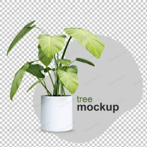 mockup 3d rendered plant pots crcc5676c2f size4.82mb - title:Home - اورچین فایل - format: - sku: - keywords: p_id:18