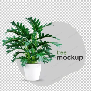 mockup 3d rendered plant pots 2 crc173c8798 size5.53mb - title:Home - اورچین فایل - format: - sku: - keywords: p_id:18