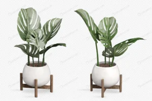 monstera plant pot 3d rendering 2 crc50948d00 size9.88mb - title:Home - اورچین فایل - format: - sku: - keywords: p_id:18