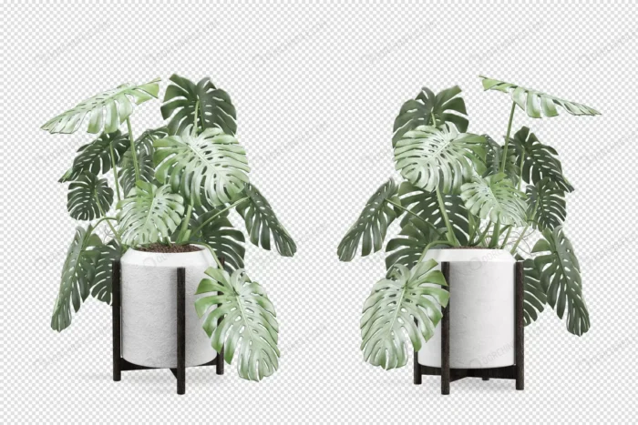 monstera plant pot 3d rendering 4 crc9828cb00 size14.88mb - title:گلدان گل بدون پس زمینه - اورچین فایل - format:PSD - فتوشاپ - sku:crc9828cb00 - keywords: p_id:98197