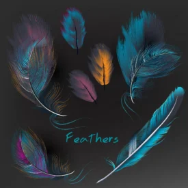 multicolor feathers collection crc4bdd3f7b size23.06mb - title:Home Main - اورچین فایل - format: - sku: - keywords: p_id:18