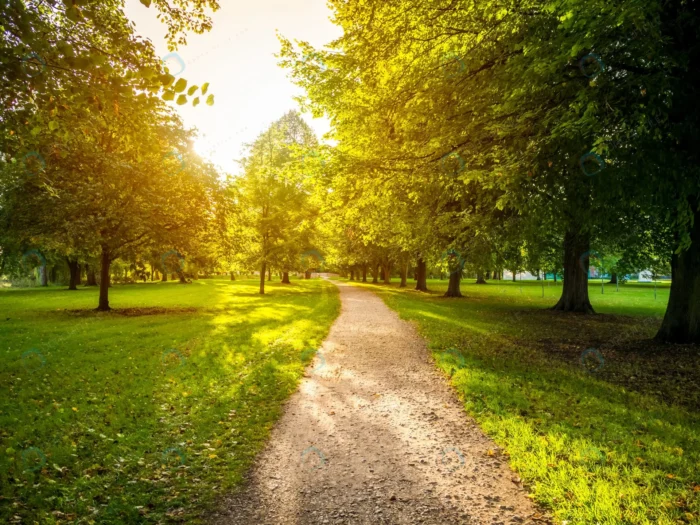 narrow road green grassy field surrounded by gree crcacefc3fa - title:عکس جاده پوشیده از درختان سبز - اورچین فایل - format:JPG - استوک - sku:crcacefc3fa - keywords: p_id:59290
