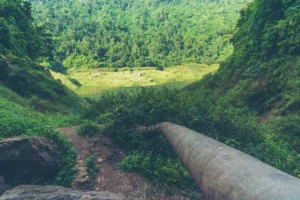 nature landscape view tropical rain forest khao y crc2bc43da1 size22.54mb 6016x4016 - title:Home - اورچین فایل - format: - sku: - keywords: p_id:18