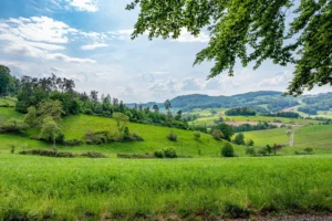 odenwald germany is pure nature crc9d28c9e0 size25.41mb 5760x3832 - title:Home - اورچین فایل - format: - sku: - keywords: p_id:18