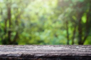 old wooden table top green blurred abstract backgr rnd985 frp5293511 - title:Home - اورچین فایل - format: - sku: - keywords: p_id:18