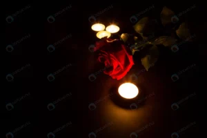 one red rose roses with candles dark background d crc72def347 size19.34mb 5760x3840 - title:Home - اورچین فایل - format: - sku: - keywords: p_id:18