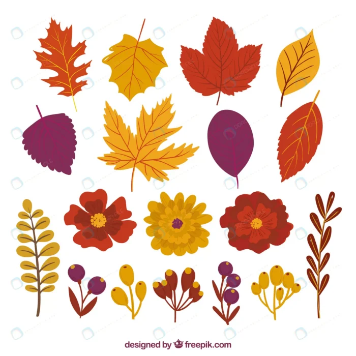 pack pretty autumn leaves flowers rnd917 frp1304050 - title:مجموعه المان های پاییز با فرمت وکتور - اورچین فایل - format:EPS - وکتور - sku:frp1304050 - keywords: p_id:68236