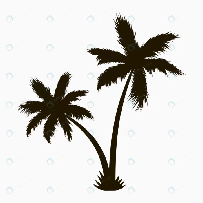 palm tree silhouette realistic tropical plant vec crcef407b4b size1.48mb - title:سیلوئت وکتور نخل خرما - اورچین فایل - format:EPS - وکتور - sku:crcef407b4b - keywords: p_id:85265