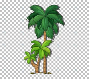 palm tree transparent background crc437f1cd6 si crc437f1cd6 size3.44mb - title:Home - اورچین فایل - format: - sku: - keywords: p_id:18