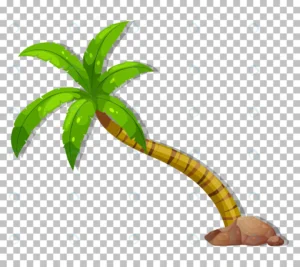 palm tree transparent background 2 crc20dca527 crc20dca527 size1.94mb - title:Home - اورچین فایل - format: - sku: - keywords: p_id:18