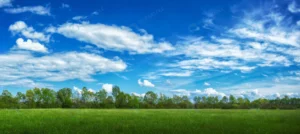 panoramic view field covered grass trees sunlight crca364543a size11.22mb 6342x2837 - title:Home - اورچین فایل - format: - sku: - keywords: p_id:18