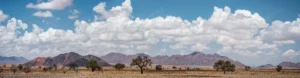 panoramic view namib desert namibia crc5166489c size10.89mb 10000x2592 - title:Home - اورچین فایل - format: - sku: - keywords: p_id:18