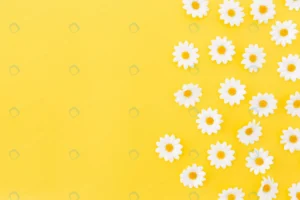 pattern daysies yellow background with space left crc05d7e98c size13.10mb 5144x3430 - title:Home - اورچین فایل - format: - sku: - keywords: p_id:18