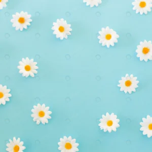 pattern made chamomiles petals blue background fl crc8ff086d0 size6.27mb 3414x3414 - title:Home - اورچین فایل - format: - sku: - keywords: p_id:18