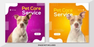 pet car service instagram post template crcffed2d95 size2.44mb - title:Home - اورچین فایل - format: - sku: - keywords: p_id:18