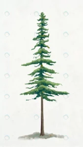 pine tree element graphic plain background crce2b7c21e size9.91mb - title:Home - اورچین فایل - format: - sku: - keywords: p_id:18