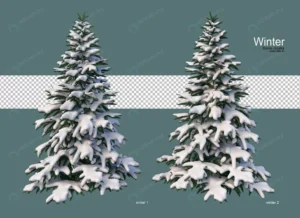 pine trees various sizes winter crc1e49a206 size98.15mb - title:Home - اورچین فایل - format: - sku: - keywords: p_id:18