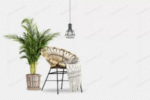 plant chair 3d rendering crc94dae938 size7.79mb - title:Home - اورچین فایل - format: - sku: - keywords: p_id:18