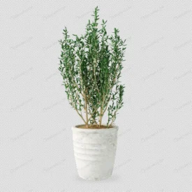 plant pot 3d rendering 2 crcd741d321 size7.24mb - title:Home Main - اورچین فایل - format: - sku: - keywords: p_id:18