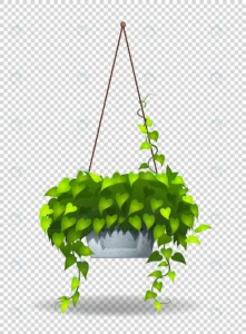 potted plant hanging wall crcd56519f2 size2.77mb - title:Home - اورچین فایل - format: - sku: - keywords: p_id:18