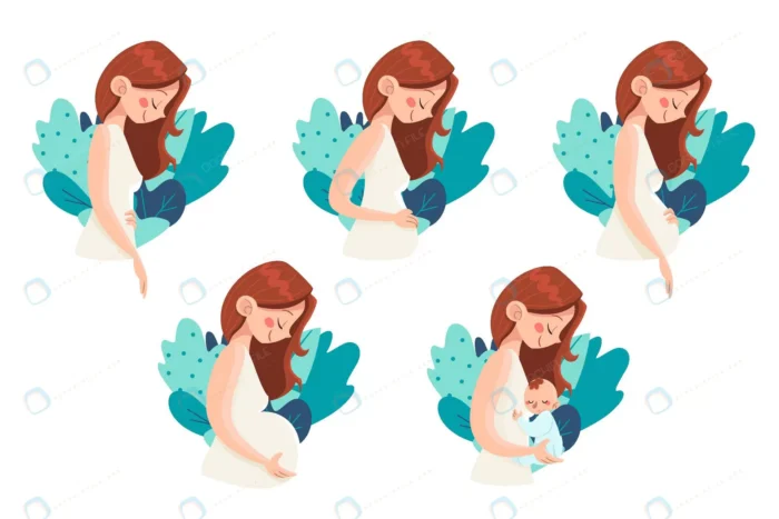 pregnancy stages illustration concept crc3352c9c7 size922.63kb - title:دانلود نقاشی زیبای از مراحل بارداری مادر - اورچین فایل - format:EPS - وکتور - sku:crc3352c9c7 - keywords: p_id:32317