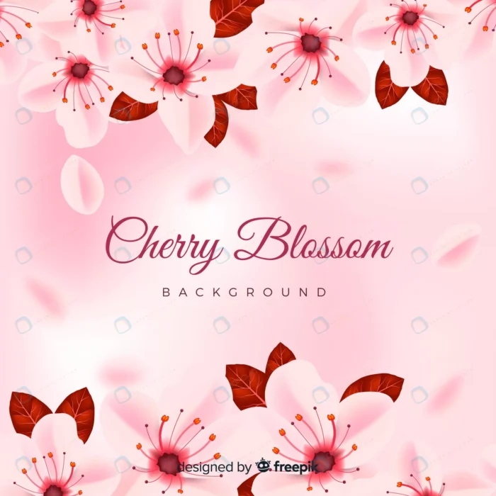 realistic cherry blossom background 3 crcce9b2cb0 size17.50mb - title:وکتور شکوفه های گیلاس - اورچین فایل - format:EPS - وکتور - sku:crcce9b2cb0 - keywords: p_id:55095