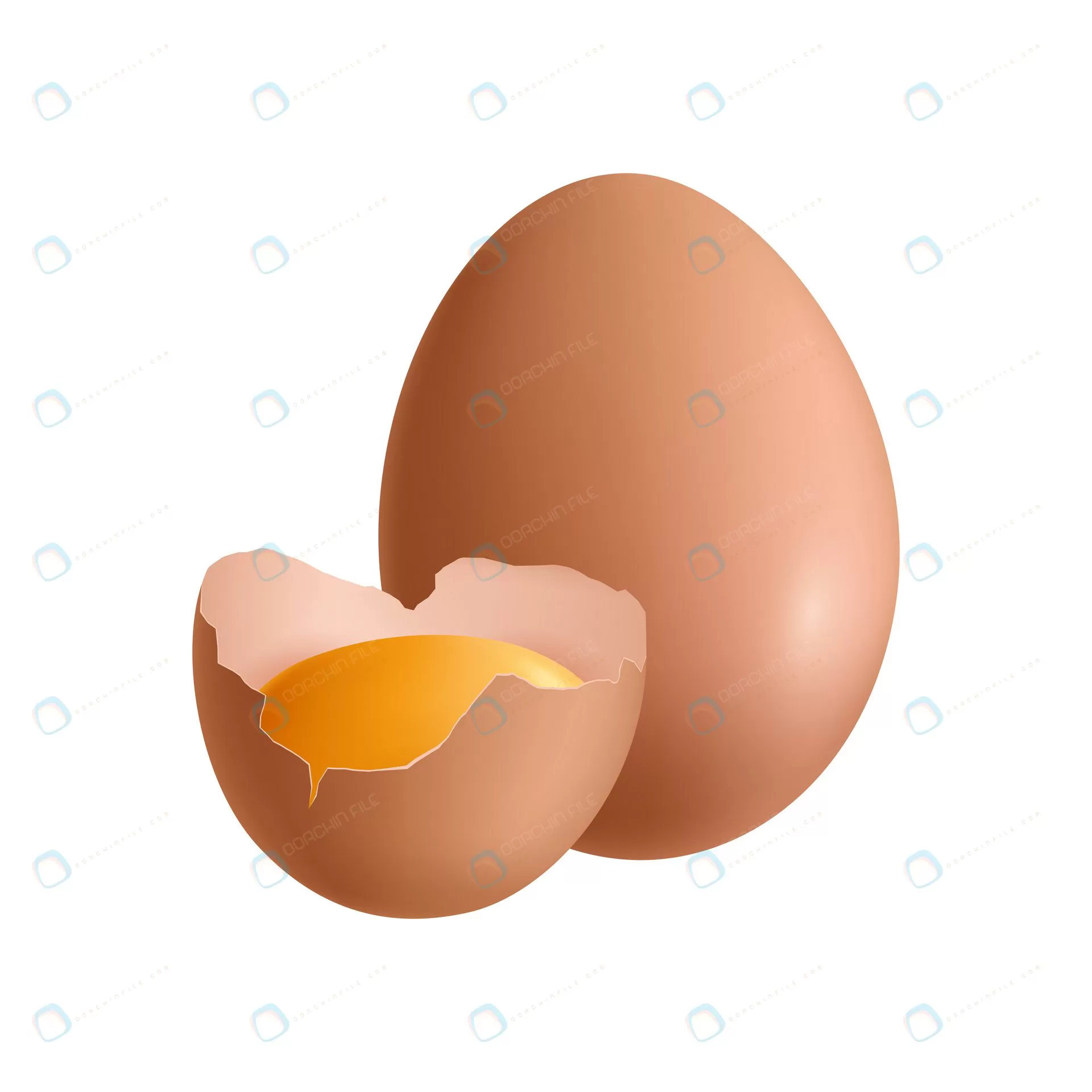 realistic egg illustration crcfa72540f size1.22mb - title:Home Main - اورچین فایل - format: - sku: - keywords: p_id:18