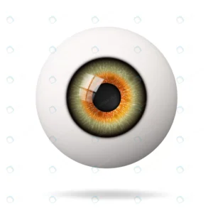 realistic human eyeball retina is foreground rnd318 frp5218213 - title:Home - اورچین فایل - format: - sku: - keywords: p_id:18