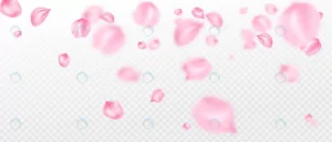 realistic sakura flower petals background crcd47557dc size11.82mb - title:Home - اورچین فایل - format: - sku: - keywords: p_id:18