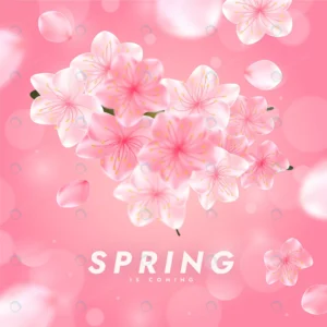 realistic spring illustration with cherry blossom crc6a1e0a02 size12.40mb - title:Home - اورچین فایل - format: - sku: - keywords: p_id:18