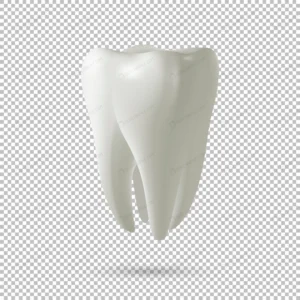 realistic vector tooth icon isolated transparent crcc34a0247 size0.82mb - title:Home - اورچین فایل - format: - sku: - keywords: p_id:18