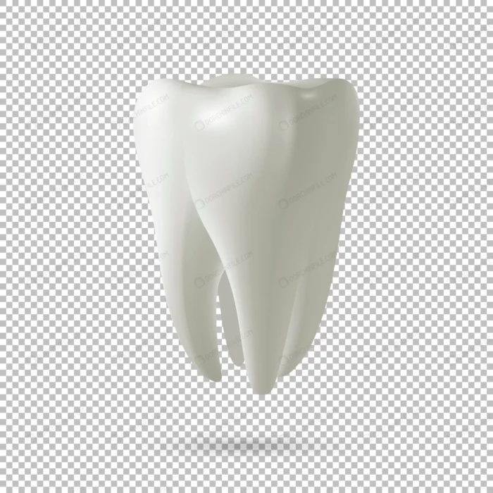 realistic vector tooth icon isolated transparent crcc34a0247 size0.82mb - title:وکتور دندان بدون پس زمینه - اورچین فایل - format:EPS - وکتور - sku:crcc34a0247 - keywords: p_id:92123