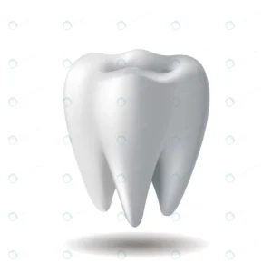 realistic white tooth isolated white background s crc1ee5c038 size0.94mb - title:Home - اورچین فایل - format: - sku: - keywords: p_id:18