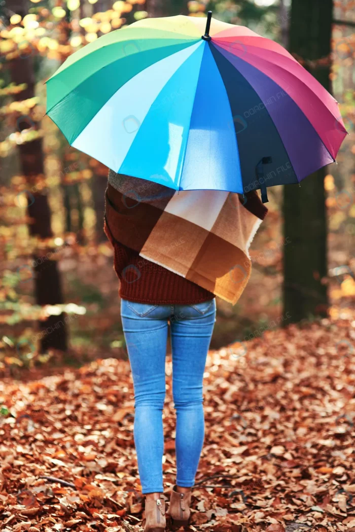rear view young woman with umbrella autumn forest crce93e29c8 - title:عکس خانم با چتر در جنگل پاییزی - اورچین فایل - format:JPG - استوک - sku:crce93e29c8 - keywords: p_id:63114