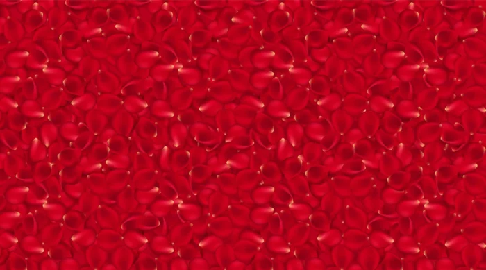 red background rose petals vector wallpaper rose crc1f4736fb size13.66mb - title:وکتور گلبرگ های رز قرمز - اورچین فایل - format:EPS - وکتور - sku:crc1f4736fb - keywords: p_id:100341