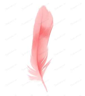 red feather isolated white background crc94937347 size2.73mb 4000x4496 - title:Home - اورچین فایل - format: - sku: - keywords: p_id:18