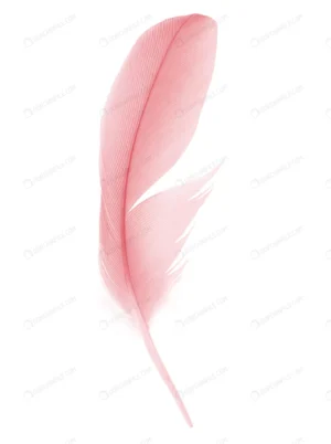 red feather white background crc36810e40 size3.86mb 4000x5356 - title:Home - اورچین فایل - format: - sku: - keywords: p_id:18