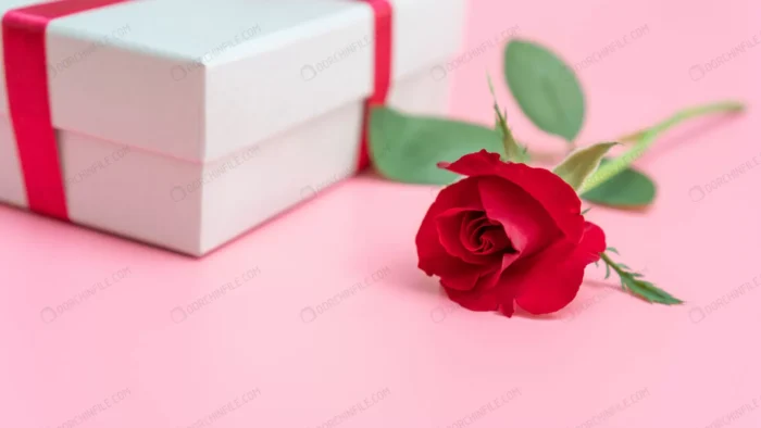 red rose gift box pink background 2 crccc8b9e9c - title:دانلود گل رز با جعبه هدیه - اورچین فایل - format:JPG - استوک - sku:crccc8b9e9c - keywords: p_id:100033