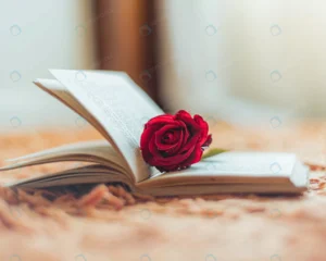 red rose inside open book crc498514b2 size10.89mb 5020x4016 - title:Home - اورچین فایل - format: - sku: - keywords: p_id:18