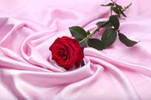 red rose pink silk crc3f534464 size7.19mb 5616x3744 - title:Home - اورچین فایل - format: - sku: - keywords: p_id:18