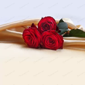 red roses silk crc78485176 size7.92mb 5616x5590 - title:Home - اورچین فایل - format: - sku: - keywords: p_id:18